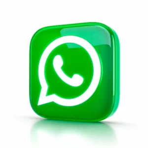 contacto WhatsApp cactuz